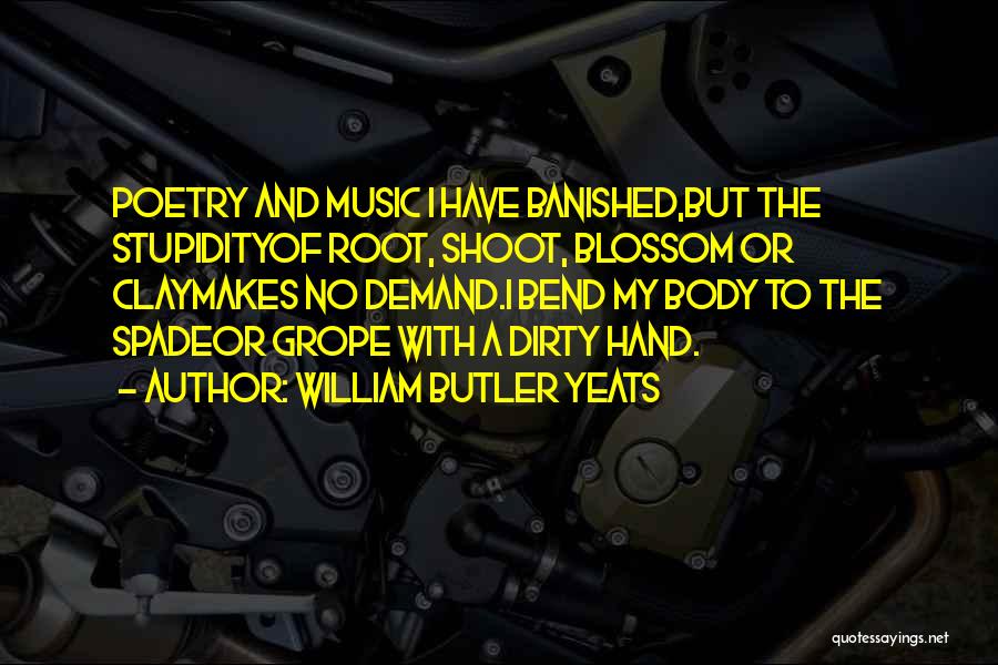 Poetry Music Quotes By William Butler Yeats