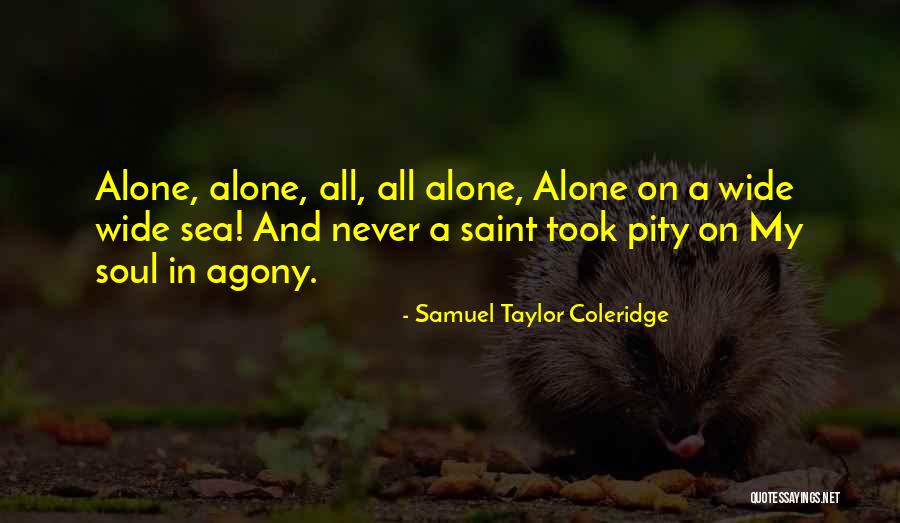 Poetry Poetry Quotes By Samuel Taylor Coleridge Poetry Poetry Quotes By Samuel Taylor Coleridge