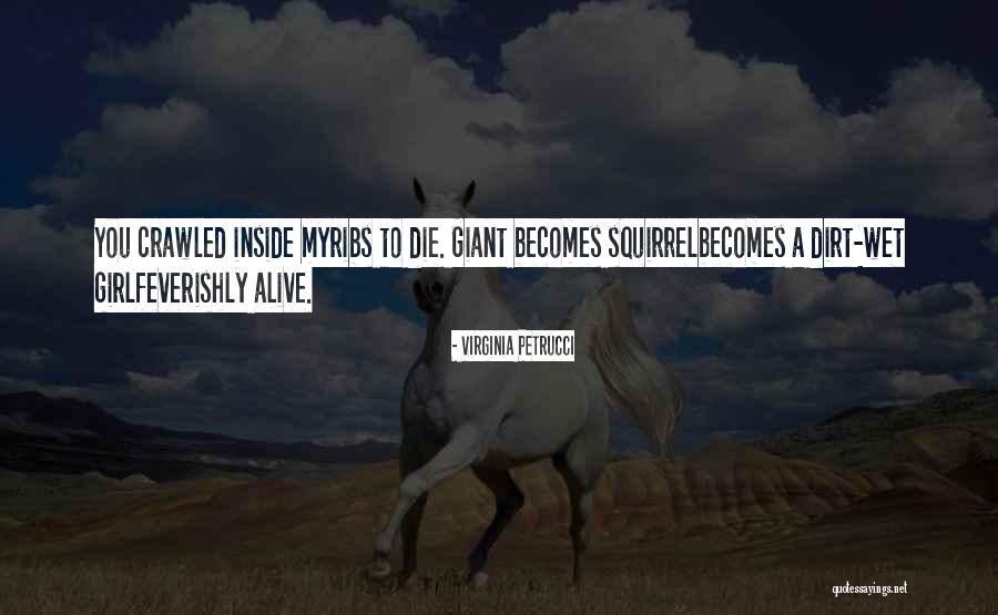 Poetry Poetry Quotes By Virginia Petrucci Poetry Poetry Quotes By Virginia Petrucci