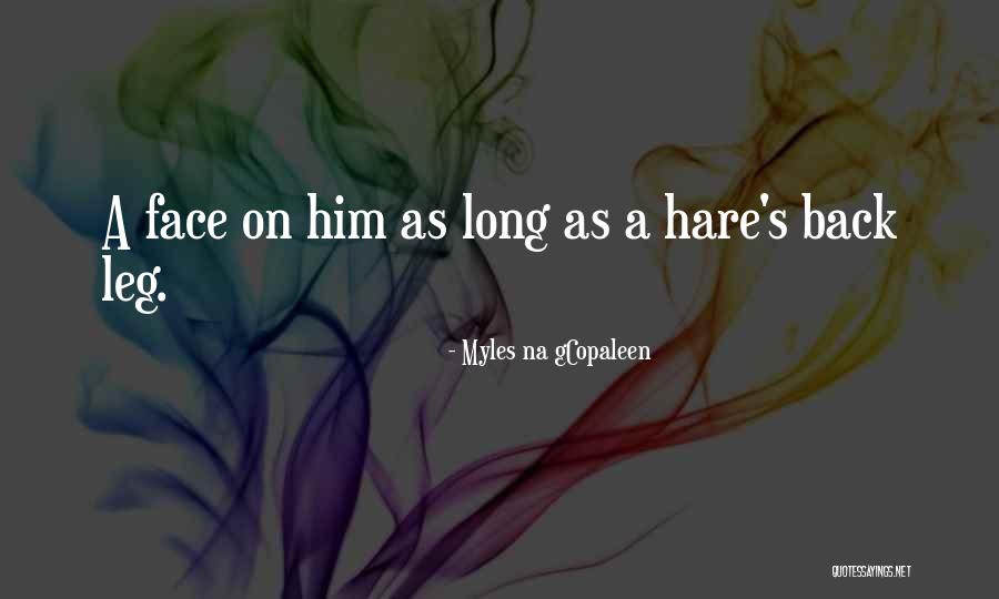 Poetryoflife Info Quotes By Myles Na GCopaleen Poetryoflife Info Quotes By Myles Na GCopaleen