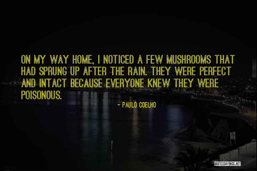 Poetsch Hans Quotes By Paulo Coelho Poetsch Hans Quotes By Paulo Coelho