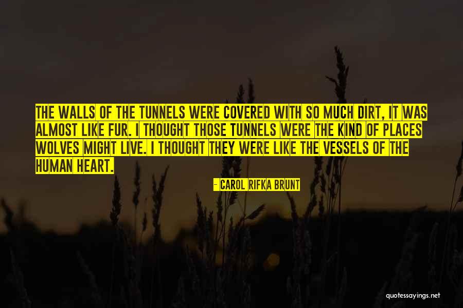 Poezija Bil Malti Ghat T Fal Quotes By Carol Rifka Brunt Poezija Bil Malti Ghat T Fal Quotes By Carol Rifka Brunt
