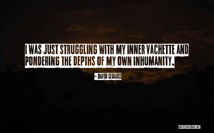 Pograjmerka Quotes By David Sedaris Pograjmerka Quotes By David Sedaris