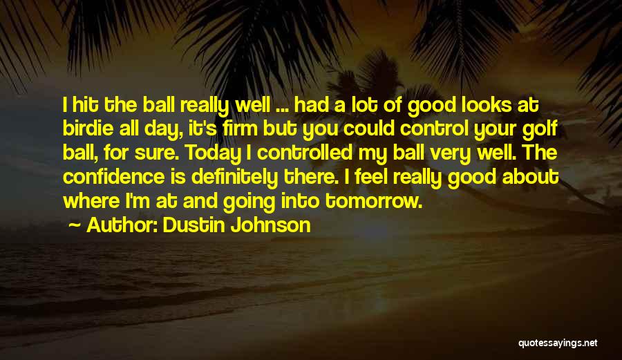 Pohyb Mezi Quotes By Dustin Johnson