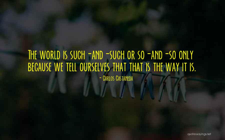 Poicha Quotes By Carlos Castaneda Poicha Quotes By Carlos Castaneda