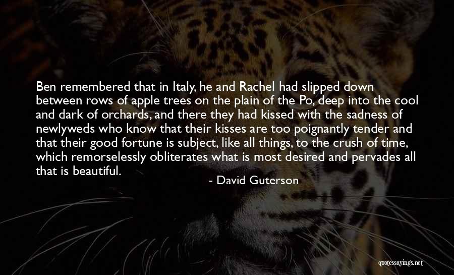 Poignantly Beautiful Quotes By David Guterson
