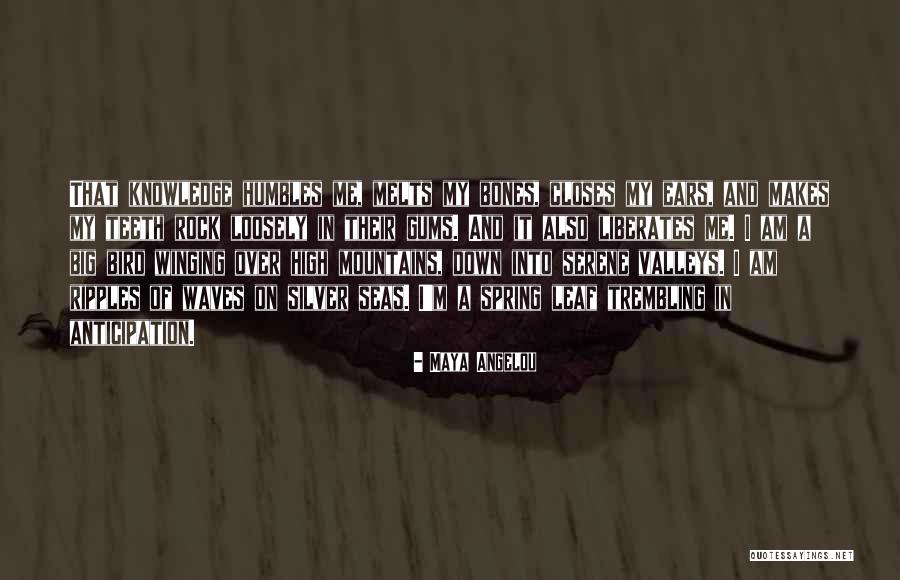 Poilane Bread Quotes By Maya Angelou Poilane Bread Quotes By Maya Angelou