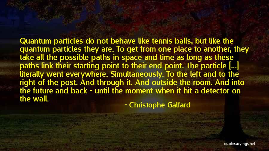 Point Like Particles Quotes By Christophe Galfard Point Like Particles Quotes By Christophe Galfard
