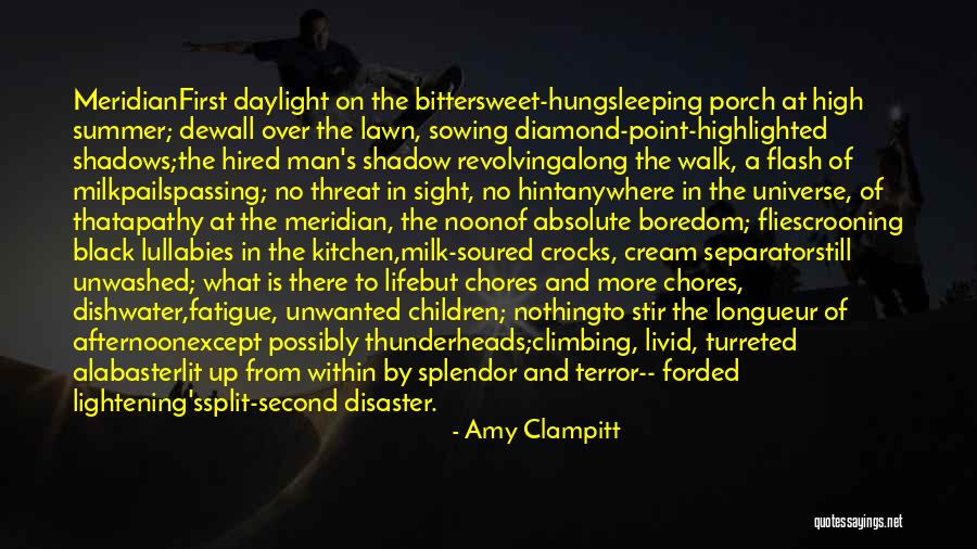 Point Man Quotes By Amy Clampitt