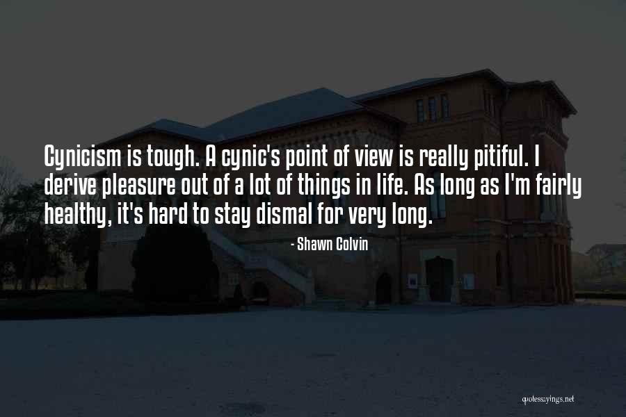 Point Of View In Life Quotes By Shawn Colvin Point Of View In Life Quotes By Shawn Colvin