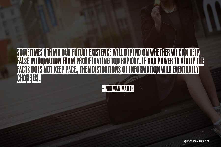 Point Of View In To Kill A Mockingbird Quotes By Norman Mailer Point Of View In To Kill A Mockingbird Quotes By Norman Mailer