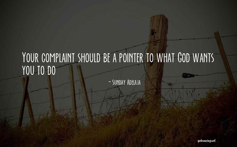 Pointer Pointer Quotes By Sunday Adelaja