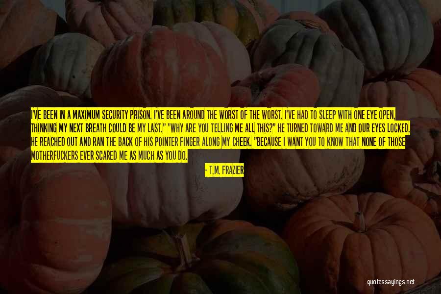 Pointer Pointer Quotes By T.M. Frazier