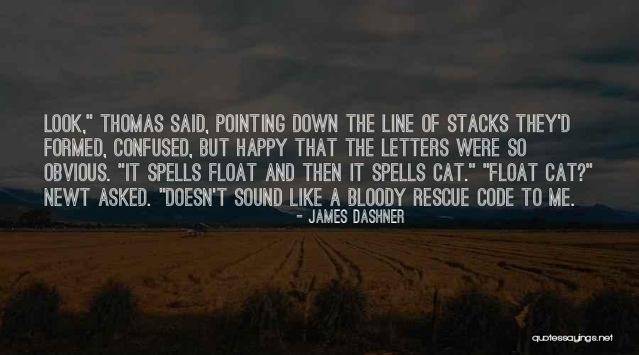 Pointing Out The Obvious Quotes By James Dashner