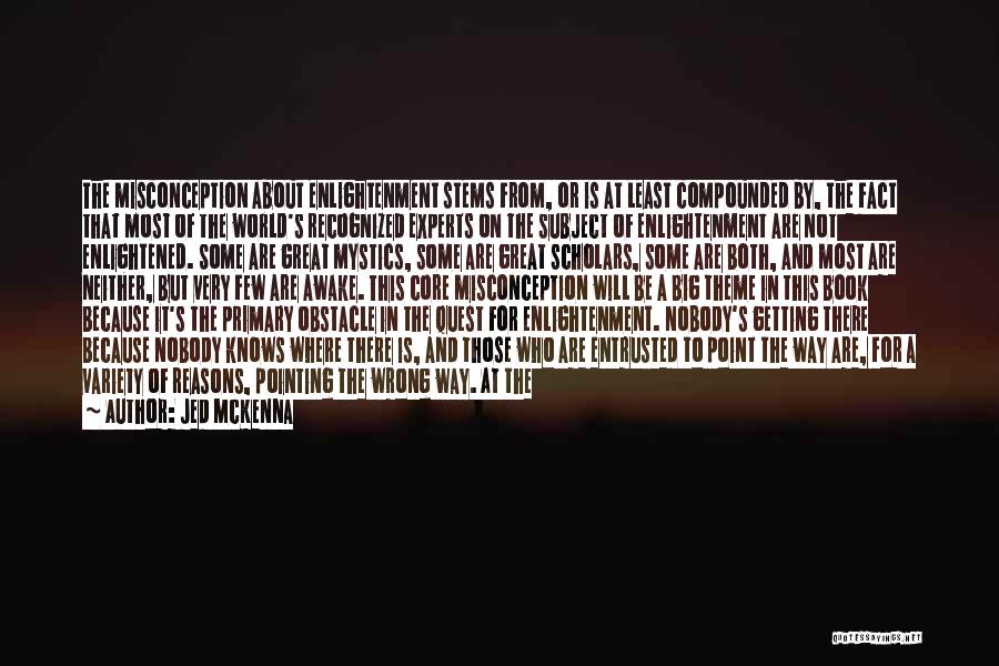 Pointing The Way Quotes By Jed McKenna