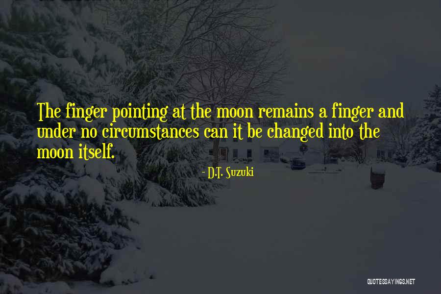 Pointing Your Finger At Others Quotes By D.T. Suzuki Pointing Your Finger At Others Quotes By D.T. Suzuki