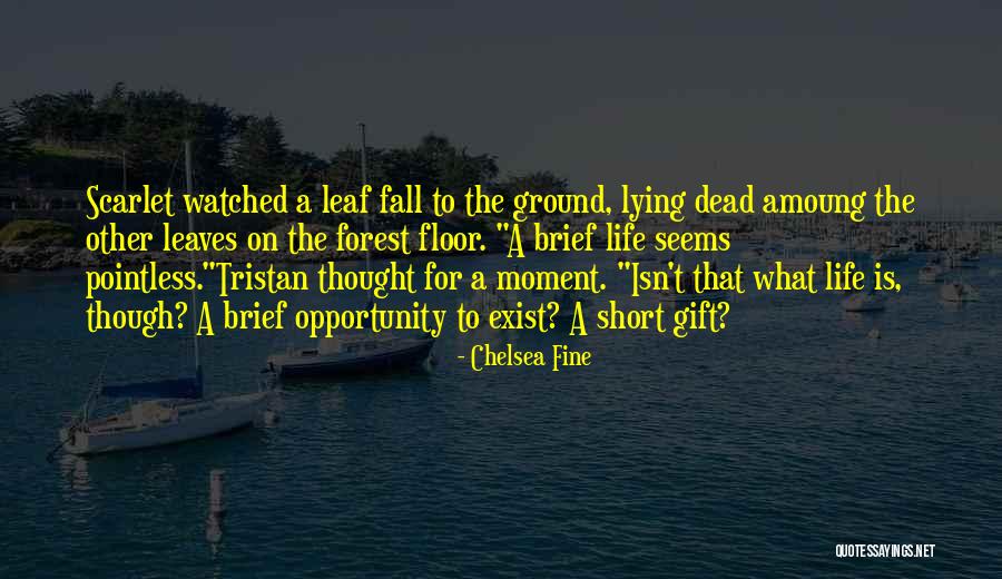 Pointless Life Quotes By Chelsea Fine