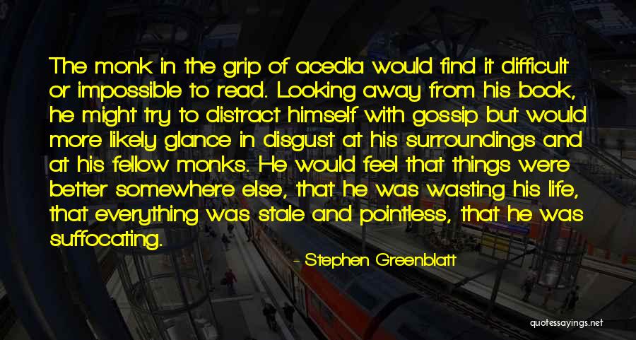 Pointless Life Quotes By Stephen Greenblatt