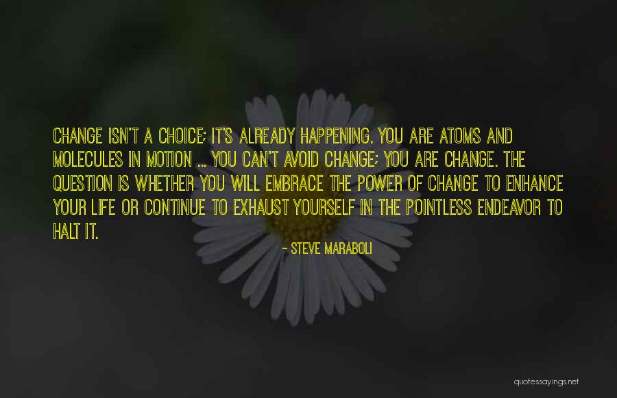 Pointless Life Quotes By Steve Maraboli