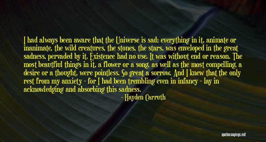 Pointless Things Quotes By Hayden Carruth Pointless Things Quotes By Hayden Carruth