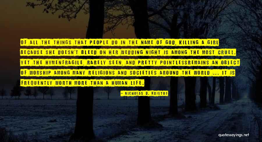 Pointless Things Quotes By Nicholas D. Kristof Pointless Things Quotes By Nicholas D. Kristof
