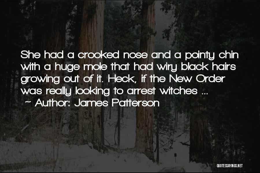 Pointy Nose Quotes By James Patterson