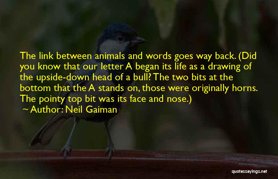 Pointy Nose Quotes By Neil Gaiman