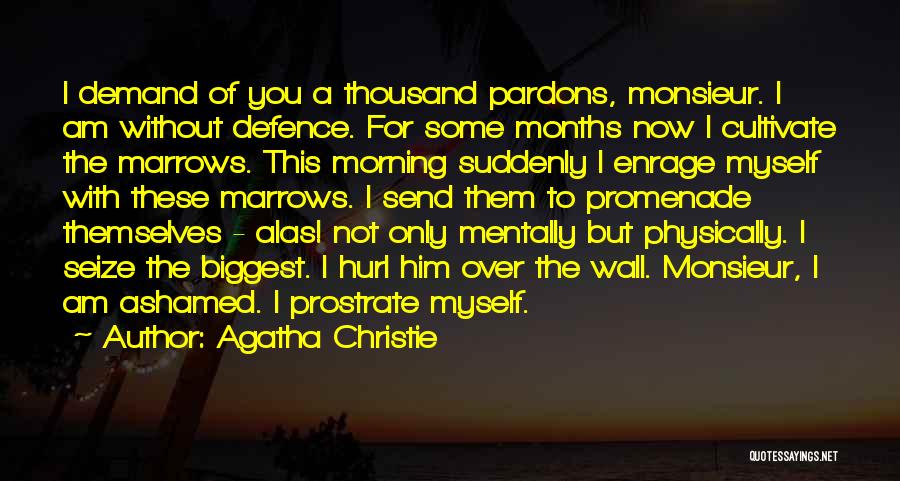 Poirot Quotes By Agatha Christie