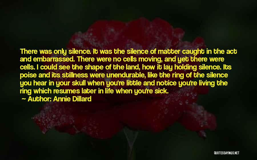 Poise Quotes By Annie Dillard