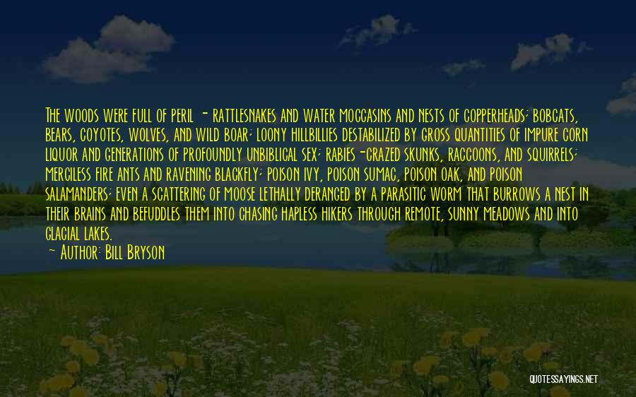 Poison Oak Quotes By Bill Bryson