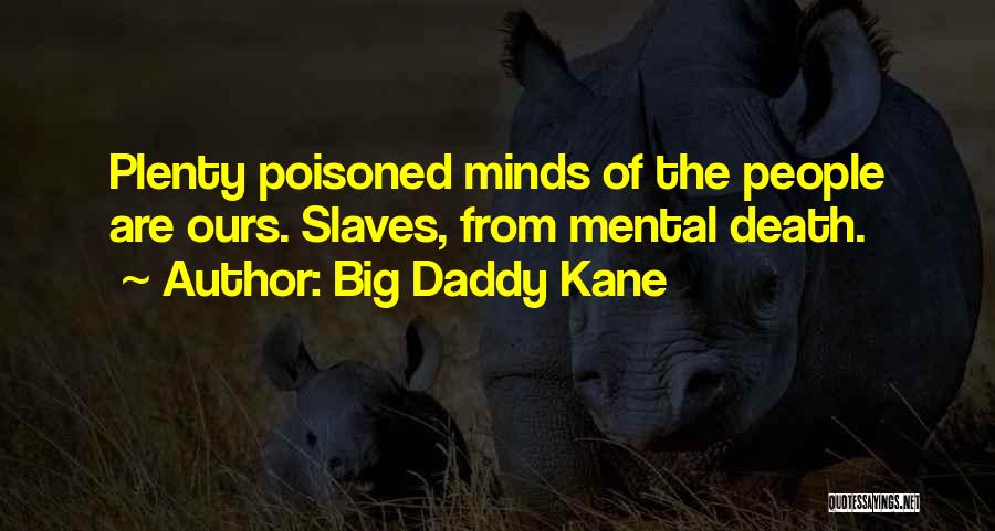 Poisoned Mind Quotes By Big Daddy Kane