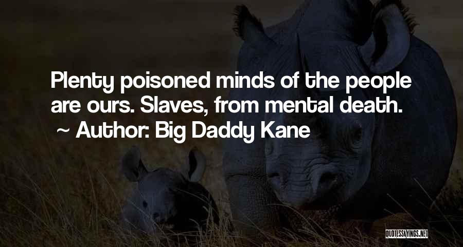 Poisoned Minds Quotes By Big Daddy Kane
