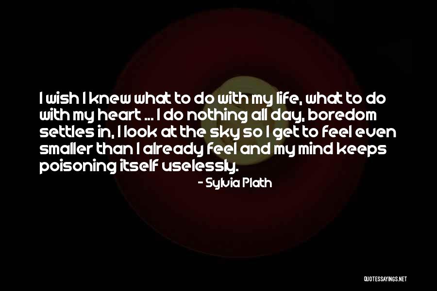 Poisoning Quotes By Sylvia Plath Poisoning Quotes By Sylvia Plath