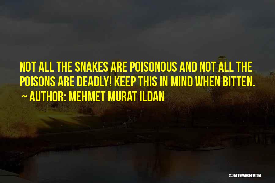 Poisonous Mind Quotes By Mehmet Murat Ildan