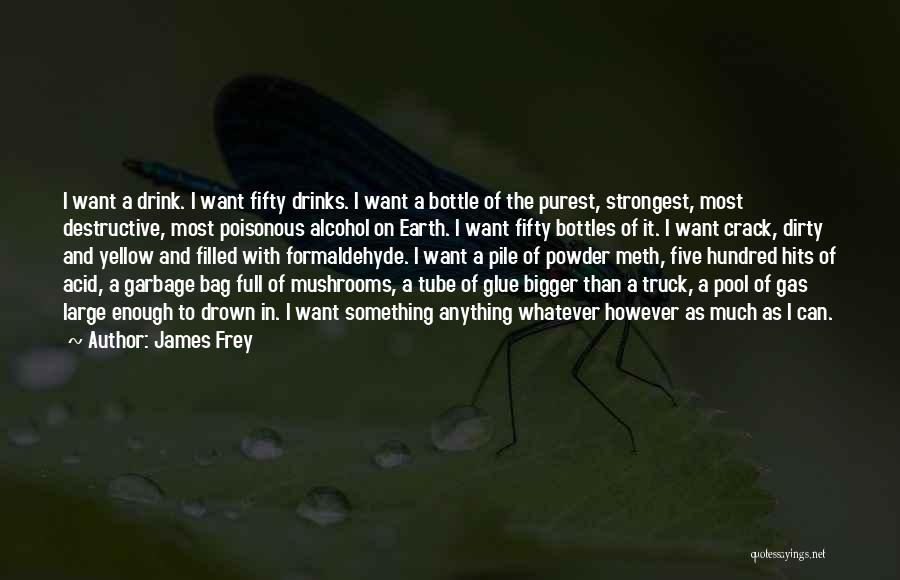 Poisonous Mushrooms Quotes By James Frey