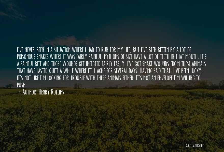 Poisonous Snake Quotes By Henry Rollins