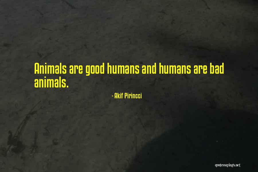 Poisons Pathfinder Quotes By Akif Pirincci Poisons Pathfinder Quotes By Akif Pirincci
