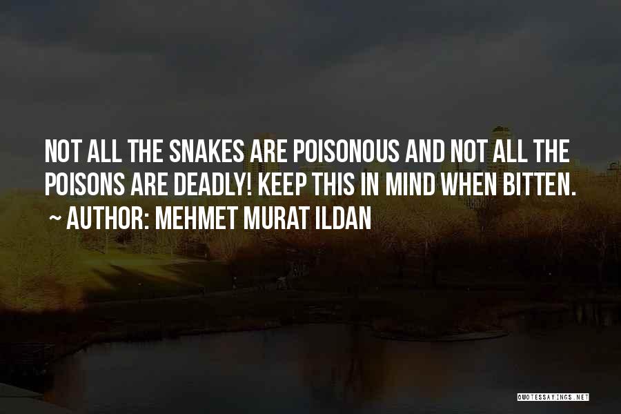 Poisons Quotes By Mehmet Murat Ildan