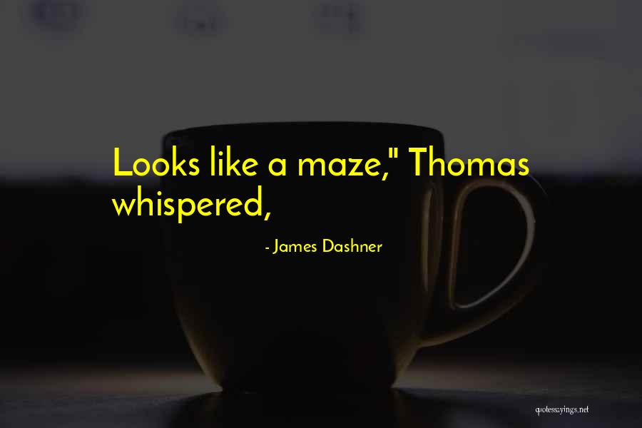 Poitevin Mule Quotes By James Dashner Poitevin Mule Quotes By James Dashner