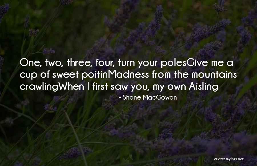 Poitin Quotes By Shane MacGowan Poitin Quotes By Shane MacGowan