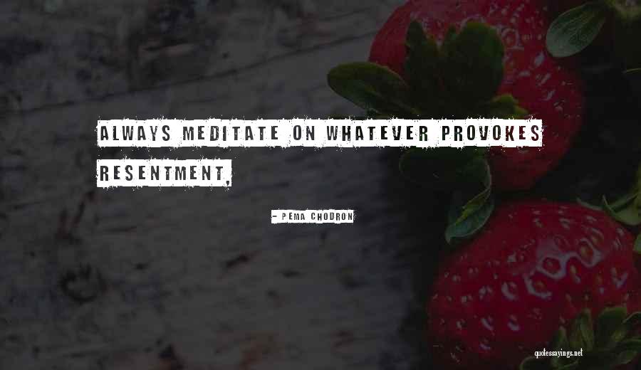 Poitras Ponderings Quotes By Pema Chodron Poitras Ponderings Quotes By Pema Chodron