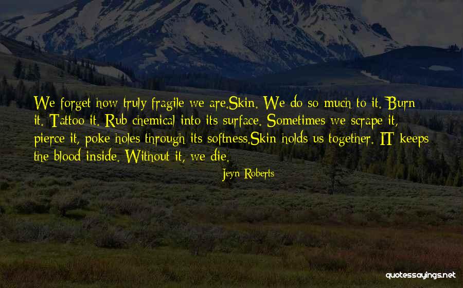 Poke Holes Quotes By Jeyn Roberts Poke Holes Quotes By Jeyn Roberts