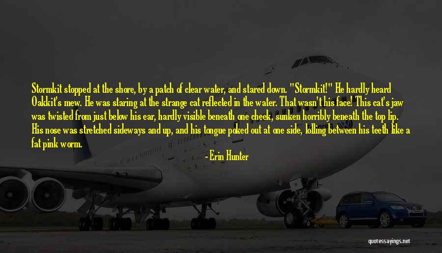 Poked Quotes By Erin Hunter Poked Quotes By Erin Hunter