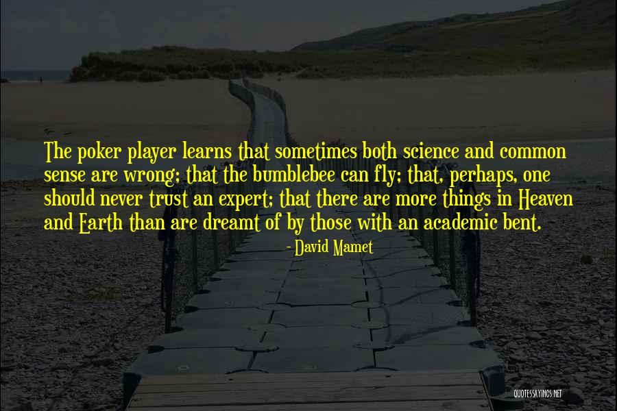 Poker Player Quotes By David Mamet Poker Player Quotes By David Mamet