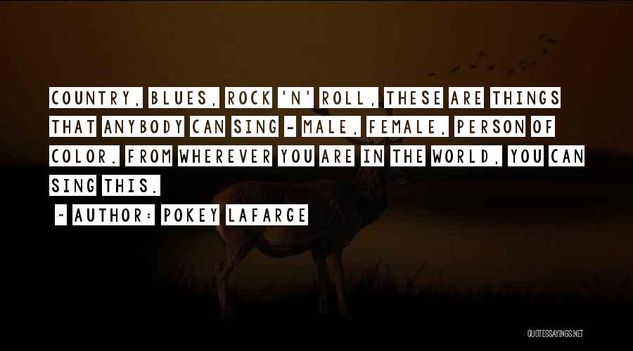 Pokey LaFarge Quotes 1306117