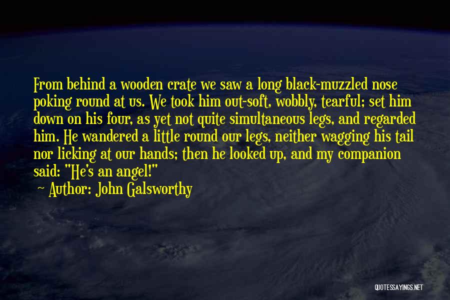 Poking Nose Quotes By John Galsworthy