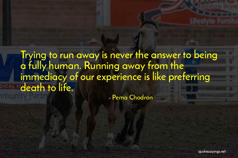 Pokuty Dpp Quotes By Pema Chodron Pokuty Dpp Quotes By Pema Chodron