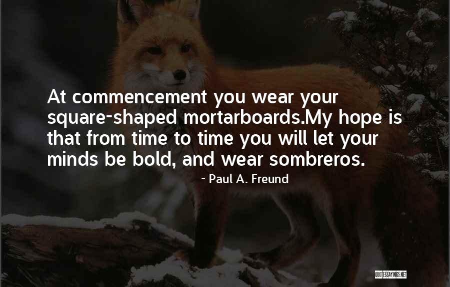 Polaha Chautauqua Quotes By Paul A. Freund Polaha Chautauqua Quotes By Paul A. Freund