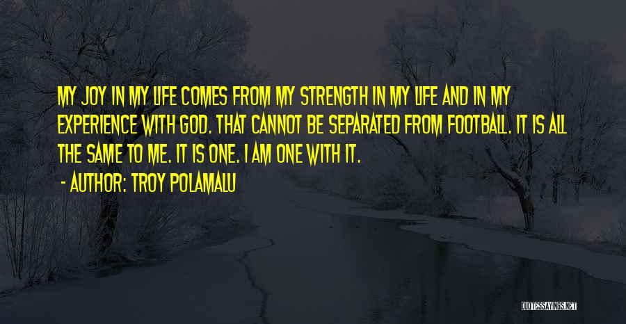 Polamalu Quotes By Troy Polamalu