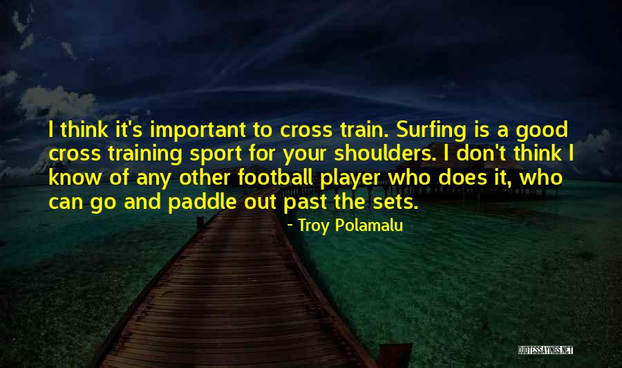 Polamalu Quotes By Troy Polamalu